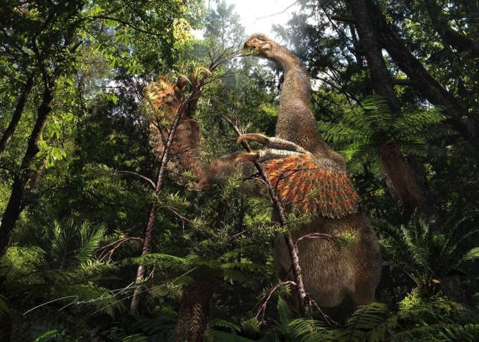 Scoperto in Mongolia il più grande artiglio di dinosauro mai esistito