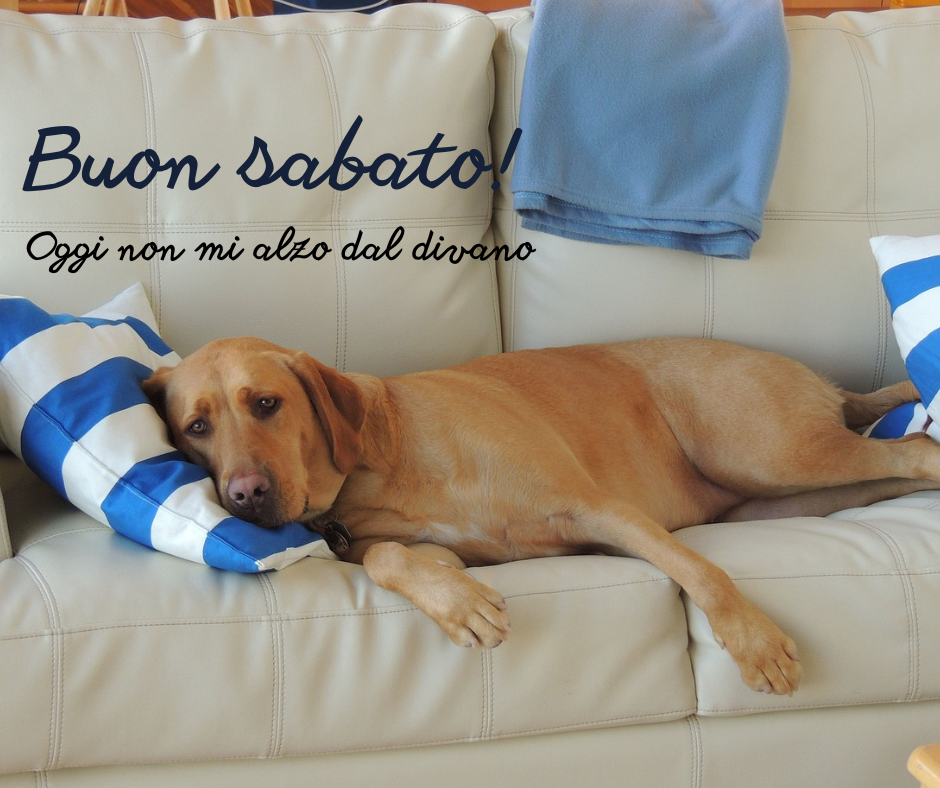 sabato