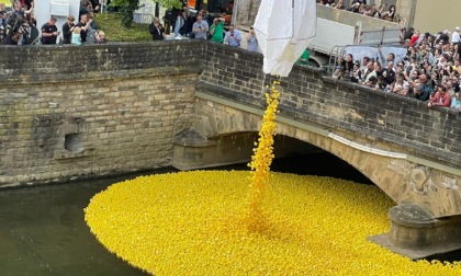 Duck Race, la gara nel fiume tra 20.000 paperelle... di plastica