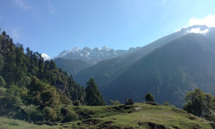 Il Sikkim, il primo Stato totalmente "bio" al mondo