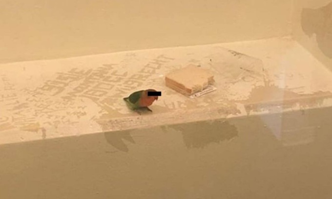 Quella volta che la Polizia arrestò un uccellino per un furto