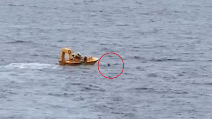 Lieto fine in mare aperto: bambina cade dalla nave da crociera, il padre si tuffa e la salva