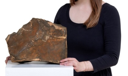 Un pezzo di Marte in vendita. All'asta il meteorite NWA 16788, il più grande sulla Terra