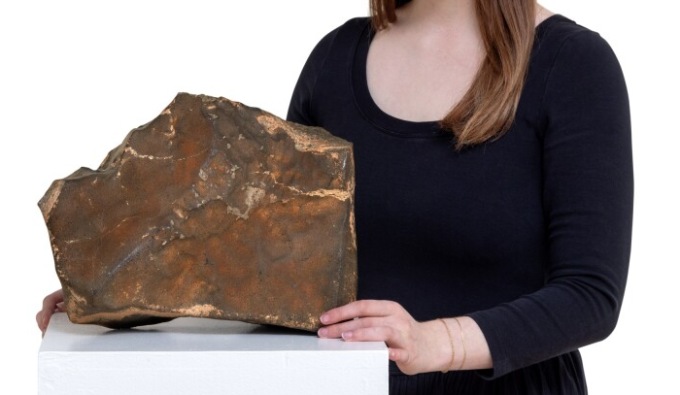 Un pezzo di Marte in vendita. All’asta il meteorite NWA 16788, il più grande sulla Terra