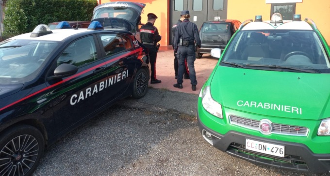 Una "toelettatura" fai da te all’autolavaggio: lava il cane con schiuma e lancia ad alta pressione
