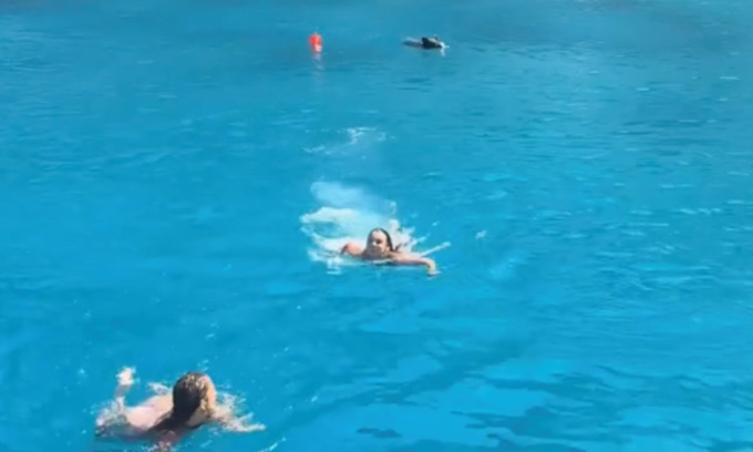 Influencer fanno il bagno in mare e vengono inseguite (a nuoto) da un cinghiale