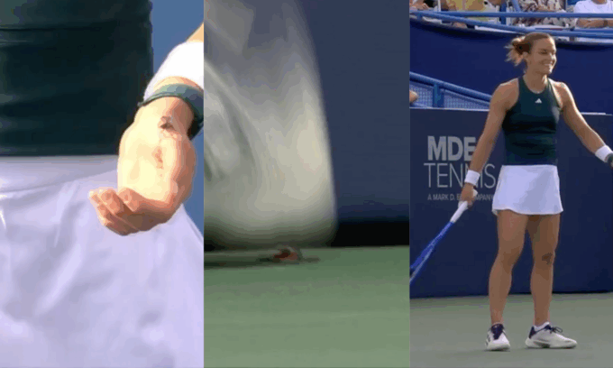 Tennista salva l’insetto togliendolo dal campo. Arriva il raccattapalle e lo schiaccia (e forse aveva ragione)