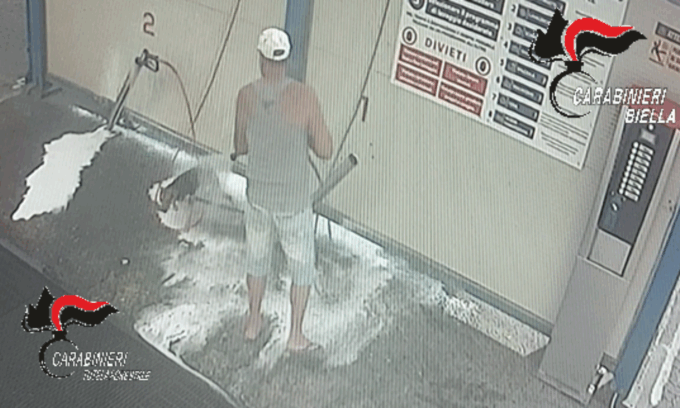 Lava il cane con schiuma e lancia ad alta pressione all’autolavaggio