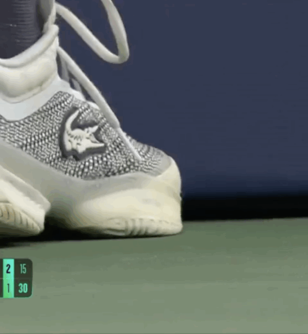 Tennista salva l’insetto togliendolo dal campo… ma il raccattapalle lo schiaccia (e forse aveva ragione)
