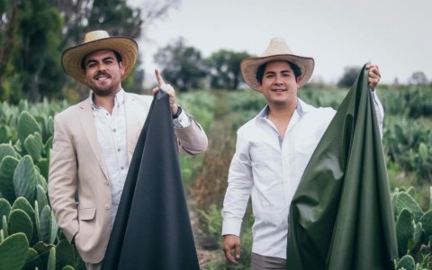 Dal deserto alle passerelle: la pelle del futuro si crea dal cactus