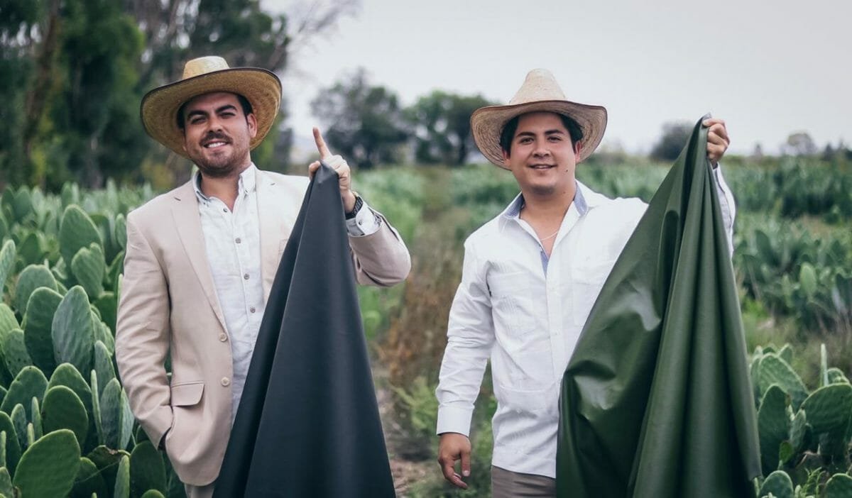 Dal deserto alle passerelle: la pelle del futuro si crea dal cactus
