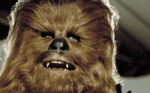 Scoperta una nuova specie di corallo “peloso”: si chiama Chewbacca come il personaggio di Star Wars