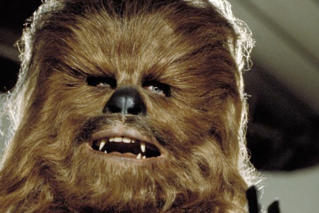 Scoperta una nuova specie di corallo “peloso”: si chiama Chewbacca come il personaggio di Star Wars