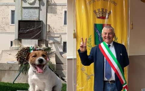 Il suo cane prende tre voti… e lui diventa sindaco