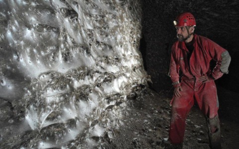 Scoperta la ragnatela più grande del mondo: ci vivono 111mila ragni