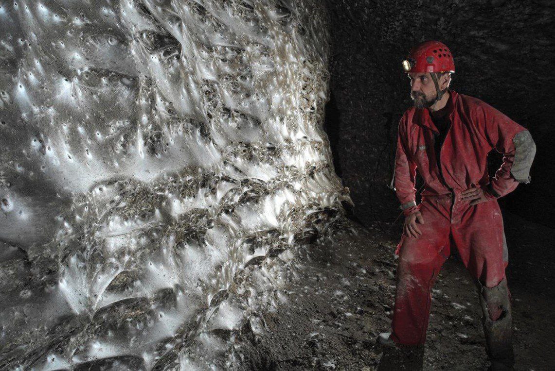 Scoperta la ragnatela più grande del mondo: ci vivono 111mila ragni