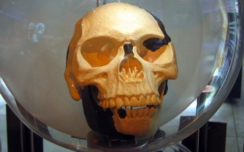 Il mistero dell’Uomo di Piltdown: il cranio fossile più famoso del mondo… che era un falso