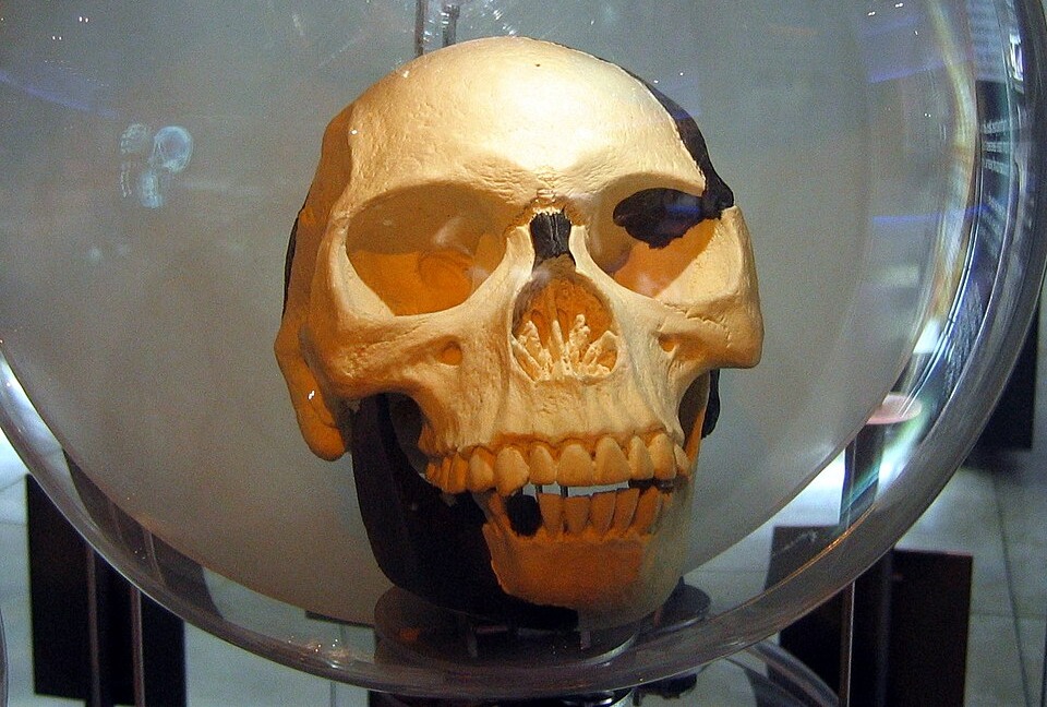 Il mistero dell’Uomo di Piltdown: il cranio fossile più famoso del mondo… che era un falso