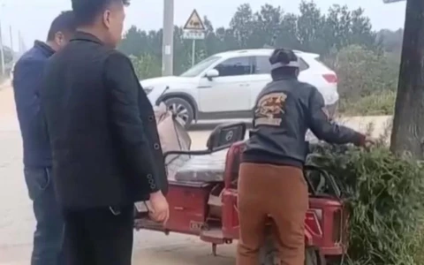 “Il contadino regala i peperoni”. Il post è una bufala, l’assalto è reale e gli rubano il raccolto