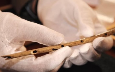 Lo strumento musicale più antico del mondo ha 35.000 anni