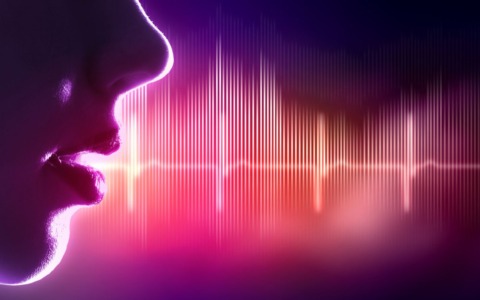 Il suono che raggiunge un solo orecchio in mezzo alla folla