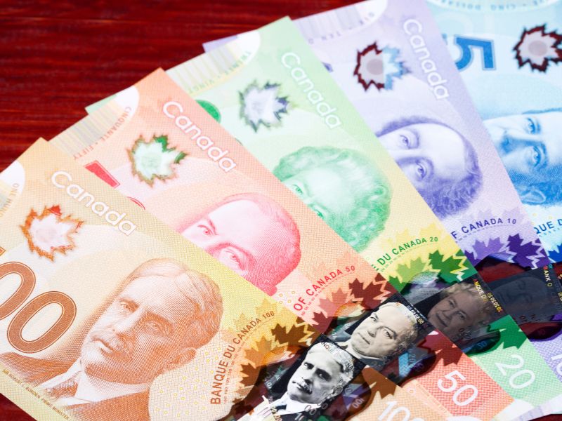 Mille dollari a settimana invece di un milione subito: la scelta che ha diviso il web