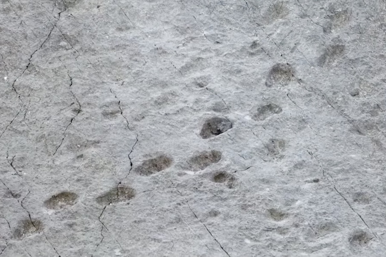 Tra le nevi dello Stelvio è riemersa “la valle dei dinosauri”: le orme risalgono a oltre 200 milioni di anni fa