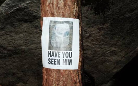 Un sasso caro a una comunità di scalatori è sparito e rispuntato a 2700 chilometri di distanza