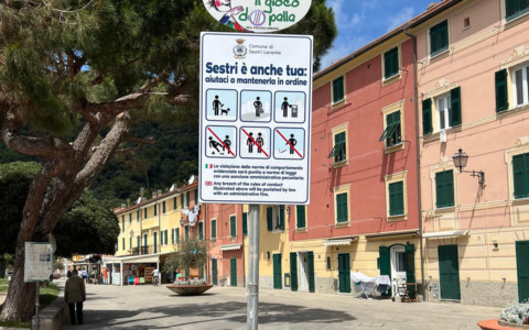 In Liguria singolare ordinanza del sindaco: “Vietato arrampicarsi sugli alberi”